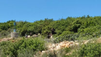 אנשי חיזבאללה ליד זרעית (צילום: מאיה רונן)