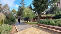 גן "קברי הסנהדרין" בשכונת סנהדריה החרדית. שבילים, עצים ומערות קבורה חצובות באבן. הגן חודש ב-2017 על ידי אדריכלית הנוף רחל וינר (צילום: מיכאל יעקובסון)