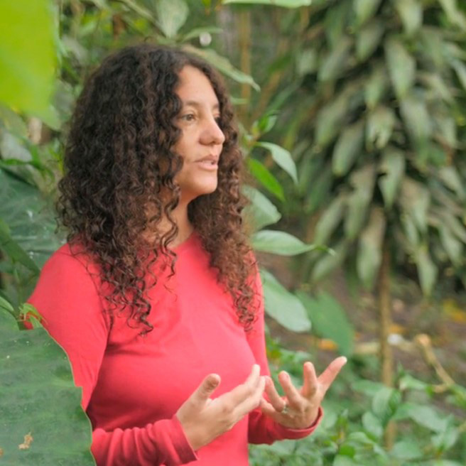 שני ביערות הגשם, שבהם הקימה מנגנון קהילתי ליצירת שמורות טבע (צילום: Conservamos por Naturaleza)