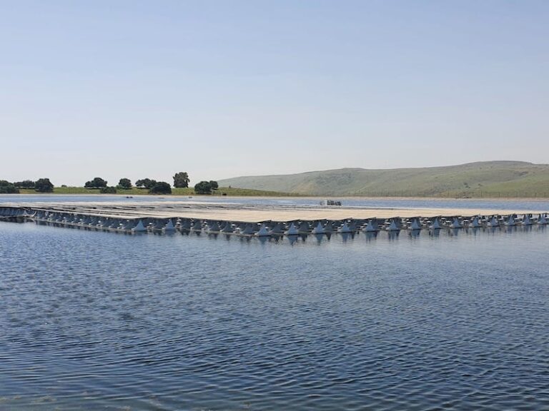 פנלים סולאריים על מאגר מים ברמת הגולן (צילום: ארז רביב)