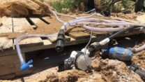 צילום: ערן רז