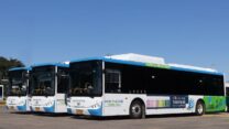 אוטובוסים של אלקטרה אפיקים תחבורה (צילום: יח"צ)