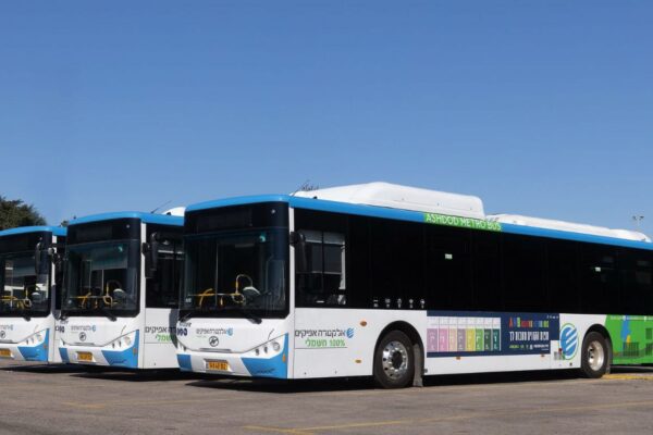 אוטובוסים של אלקטרה אפיקים תחבורה (צילום: יח"צ)