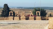 חג שבועות בקיבוץ עין השופט (צילום: איציק שפרן. באדיבות דוברות התנועה הקיבוצית)