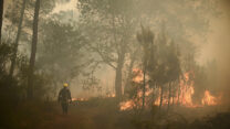 שריפות בצרפת בעקבות גל החום (צילום: Philippe Lopez/Pool Photo via AP)