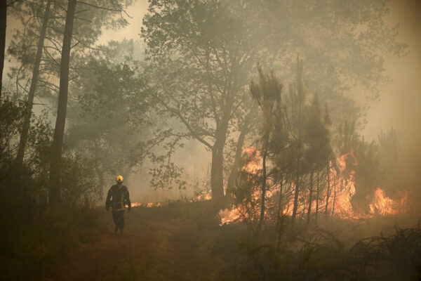 שריפות בצרפת בעקבות גל החום (צילום: Philippe Lopez/Pool Photo via AP)