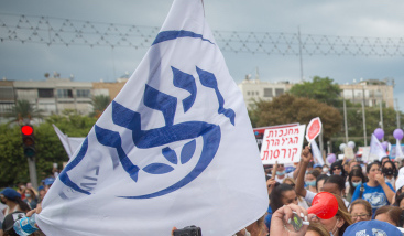 דגל ויצו בהפגנת המורים (צילום: מרים אלסטר/ פלאש90) דגל ויצו בהפגנת המורים (צילום: מרים אלסטר/ פלאש90)