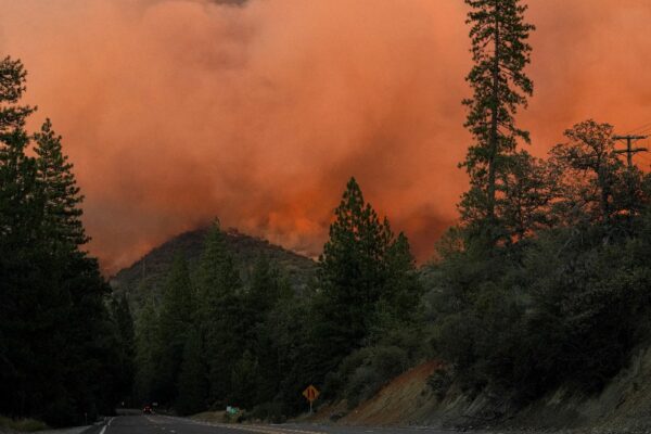 השריפה בפארק הלאומי יוסמיטי בקליפורניה (צילום: REUTERS\Tracy Barbutes)