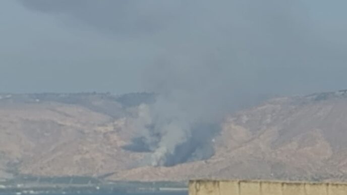 שריפה בדרום הגולן (צילום: דוברות כבאות והצלה)