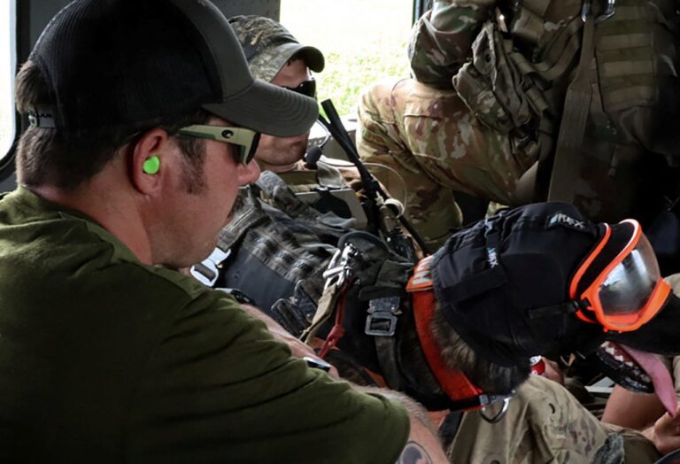 כוחות החילוץ נעזרים גם בכלבים (צילום: U.S. Army National Guard/Sgt. Jesse Elbouab/Handout via REUTERS)