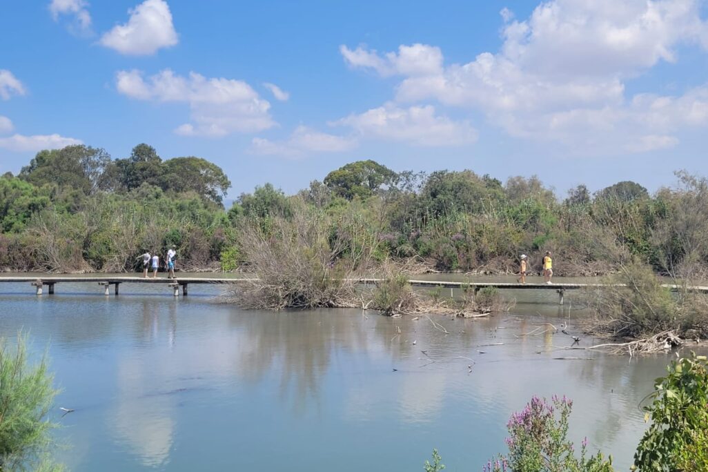 שמורת הטבע עין אפק (צילום: תמר עבדת, רשות הטבע והגנים) שמורת הטבע עין אפק (צילום: תמר עבדת, רשות הטבע והגנים)