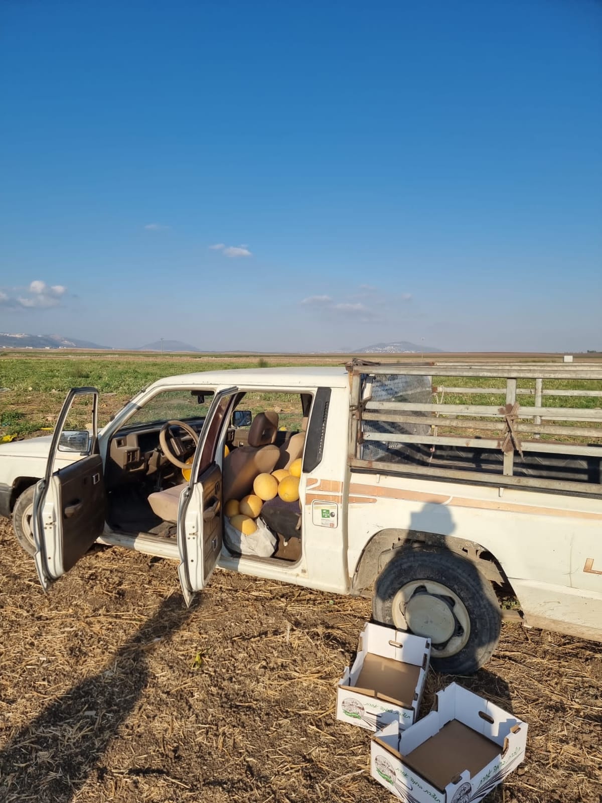 מלונים שנתפסו ברכב בתוך השטחים החקלאים של מעין ברוך (צילום: דוברות המשטרה)