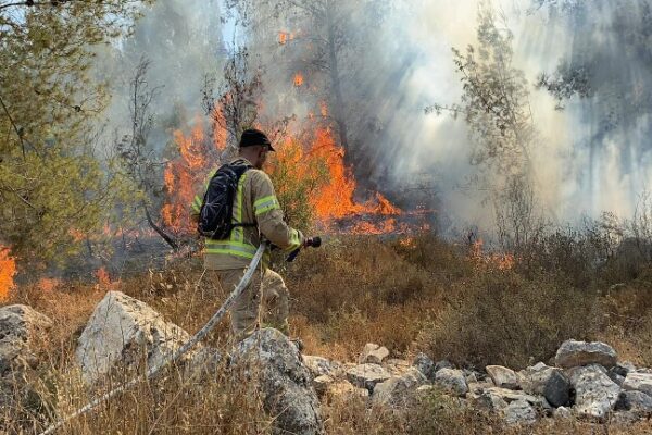 לוחמי אש בשריפה (צילום: כבאות והצלה ירושלים)