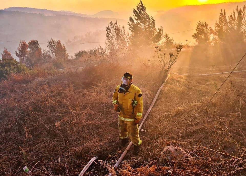 לוחם אש בשטחים השרופים בהרי יהודה (צילום: אלי כהן) לוחם אש בשטחים השרופים בהרי יהודה (צילום: אלי כהן)