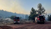 השריפה סמוך מושב תרום שבמטה יהודה (צילום: דוברות כבאות והצלה)