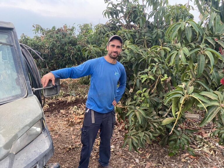 גל סלע, אחראי ההשקיה ב"דרור מטעים חינוכיים" בקיבוץ רביד. "משקים את העצים בהרבה מים, בערך 10%-20% יותר מבימים רגילים" (צילום: אלבום פרטי)