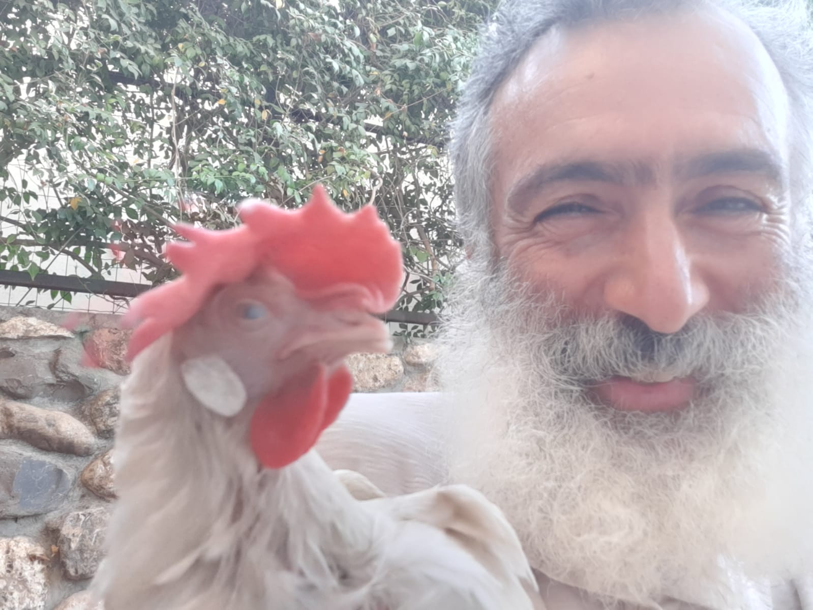 אלכס קצ'אן הלוי עם תרנגולת מהלול הביתי שלו (צילום: אלבום פרטי)