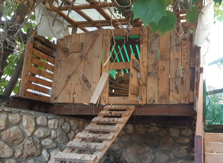 הלול הביתי שהקים קצ'אן הלוי. יותר ויותר אנשים פונים לגידול תרנגולות בלול ביתי (צילום: אלבום פרטי)