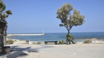 חוף בר כוכבא באשקלון (צילום: הדס יום טוב)