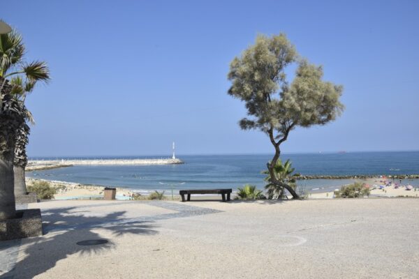 חוף בר כוכבא באשקלון (צילום: הדס יום טוב)