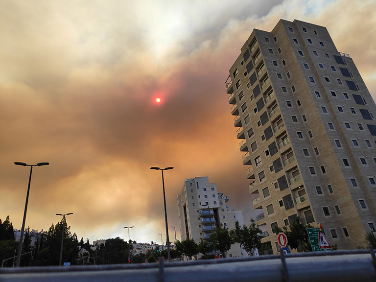 עשן השריפה מיתמר מעל שכונת קריית היובל בירושלים (צילום: דוד טברסקי)