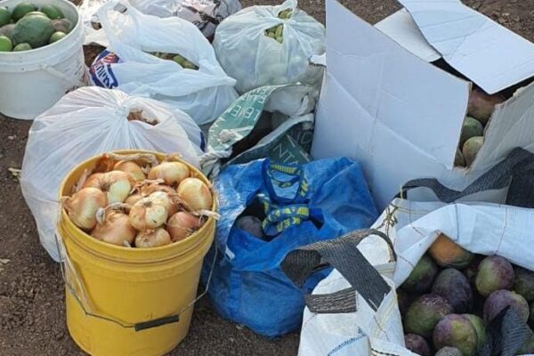 תוצרת חקלאית שנתפסה ברכבם של שני חשודים סמוך למטע בכפר תבור (צילום: דוברות המשטרה)