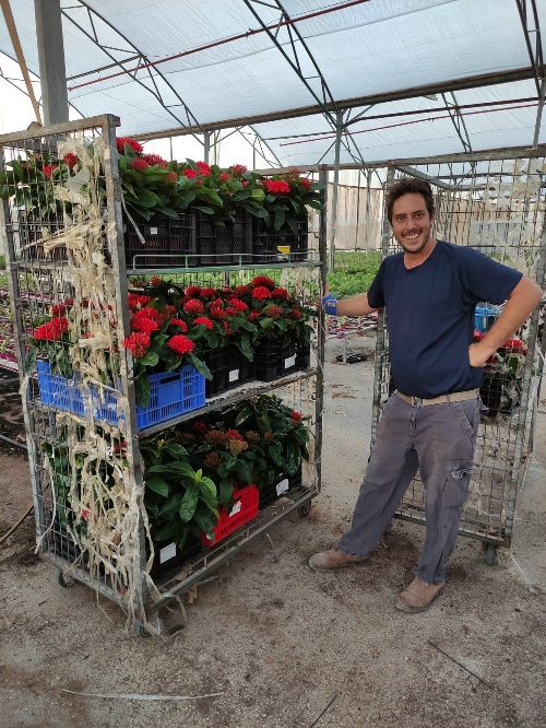 ערן אבידור ממשתלת נערן. "זה כמו מפעל, יש הזמנות וצריך לעמוד בהן" (צילום: אלבום פרטי)