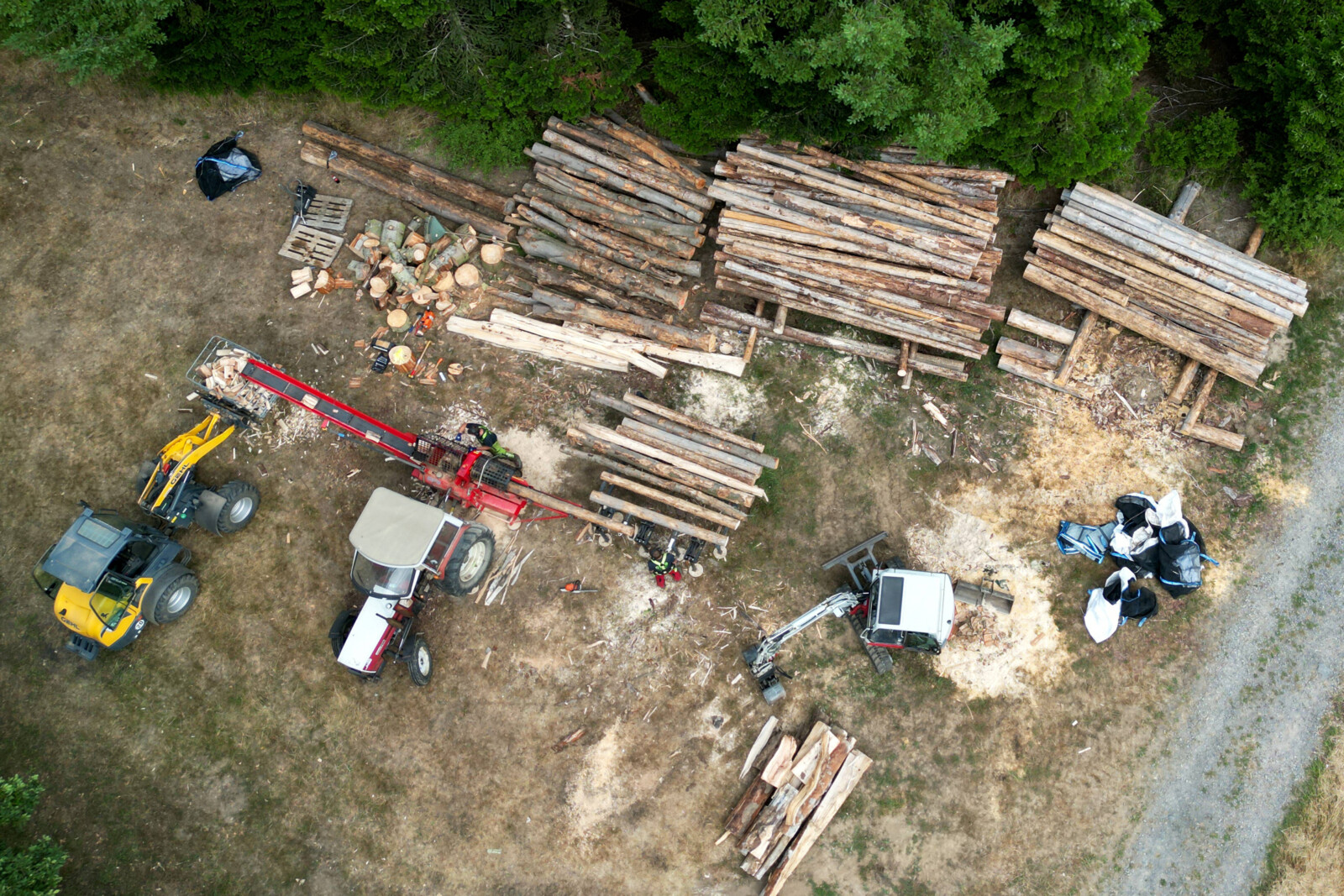אתר לכריתת עצים להסקה בגרמניה (צילום: רויטרס)