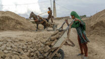 נבילה במפעל הלבנים בקאבול, אפגניסטן (צילום: AP Photo/Ebrahim Noroozi)