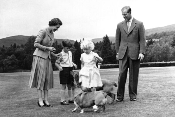 המלכה אליזבת (משמאל) ובעלה הנסיך פיליפ, עם ילדיהם, יורש העצר הנסיך צ'ארלס והנסיכה אן, עם שני כלביהם &quot;שוגר&quot; ו&quot;קנדי, 1955 (צילום: AP)