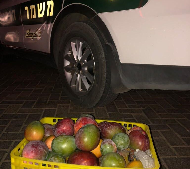 תפיסת סחורה חקלאית גנובה ליד קיבוץ חוקוק (צילום: דוברות המשטרה)