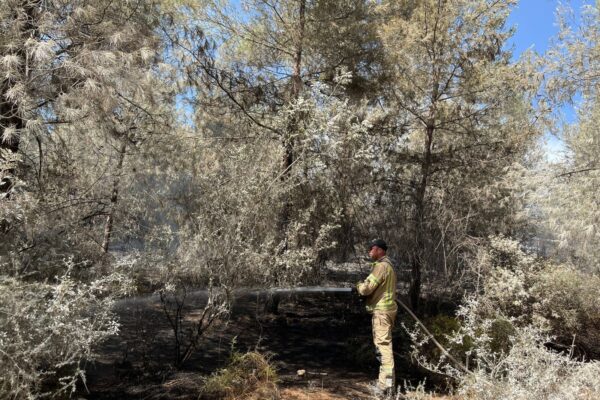 כבאי מכבה את השריפה ביער כפר החורש (צילום: דוברות כב"א)