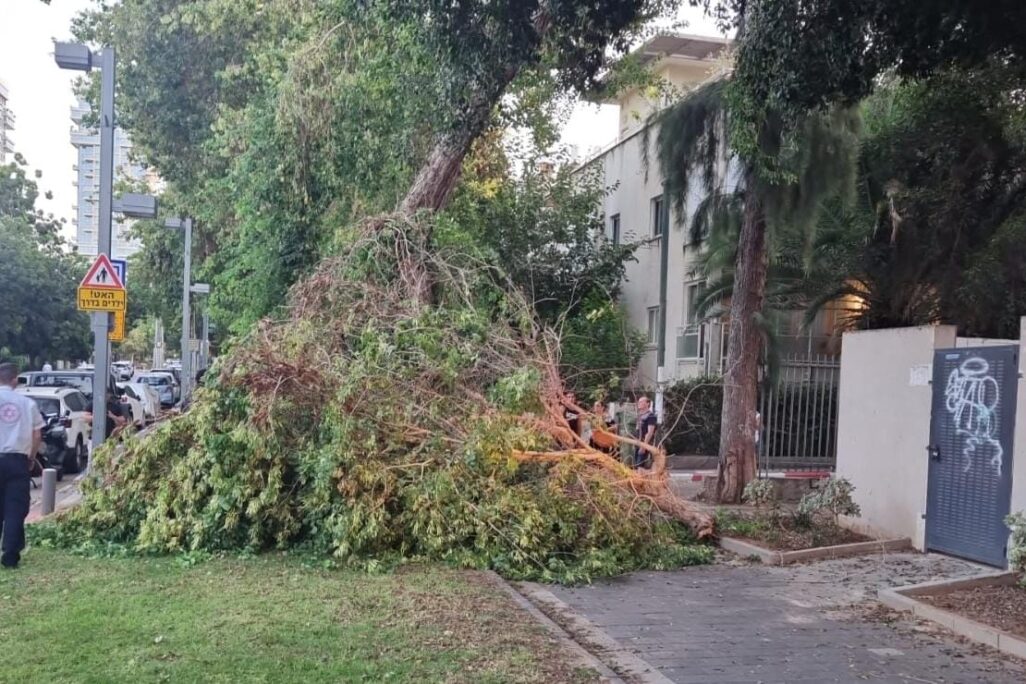 ענף עץ שקרס על המדרכה בתל אביב (צילום: דוברות מד"א) ענף עץ שקרס על המדרכה בתל אביב (צילום: דוברות מד"א)