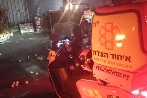 זירת התאונה ברחובות (צילום: איחוד הצלה)