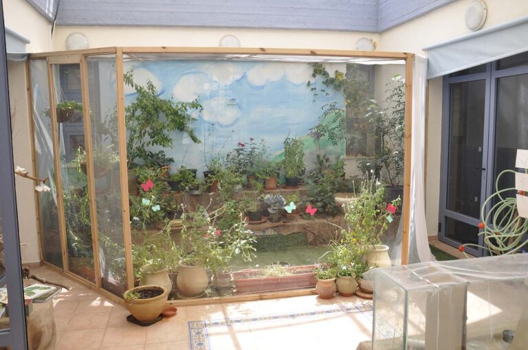 פרפריום, מתקן לגידול פרפרים באקווריום סגור, במרכז פדגוגי בירושלים. המצאה של לאה בנימיני (צילום: אלבום משפחתי)