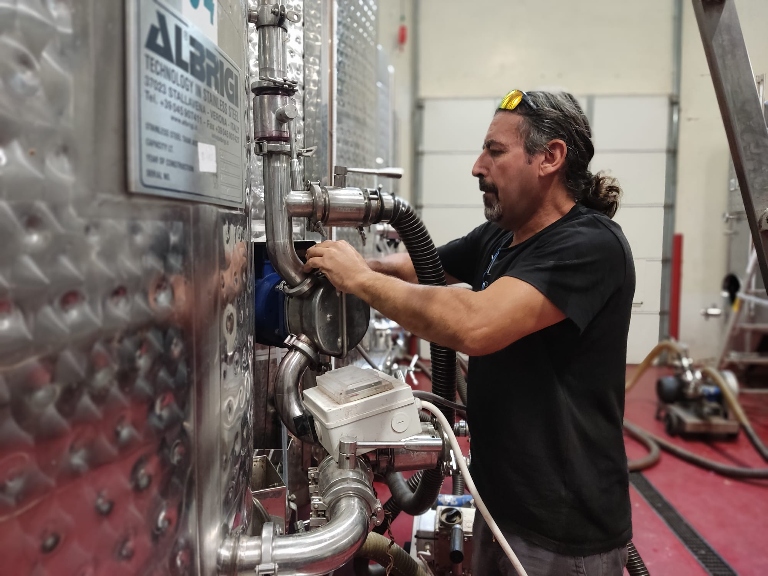 אסף מרגלית עובד ביקב. "הבנו שאנחנו צריכים שיהיו לנו כרמים משלנו, בשליטתנו. ההחלטות בכרם יהיו החלטות יינניות ולא כלכליות, גם אם כמות היבול תהיה נמוכה" (צילום: מאיה רונן)