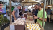דוכן למכירת שום ישראלי בשוק האיכרים בנמל תל אביב (צילום: מאיה רונן)