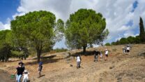 מטיילים בקצרין בסוכות (צילום: מיכאל גילעד/פלאש90)
