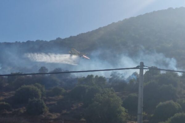 שריפה בהר תבור (צילום: דוברות כב"א)