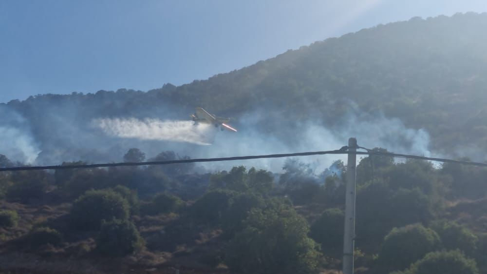 שריפה בהר תבור (צילום: דוברות כב"א)
