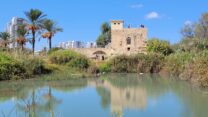 שמורת הטבע עין אפק (צילום: תמר עבדת, רשות הטבע והגנים)