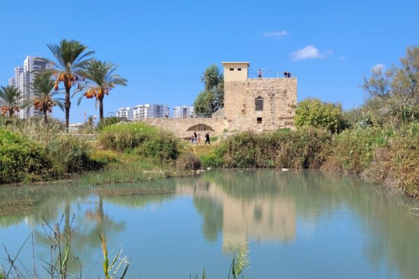 שמורת הטבע עין אפק (צילום: תמר עבדת, רשות הטבע והגנים)