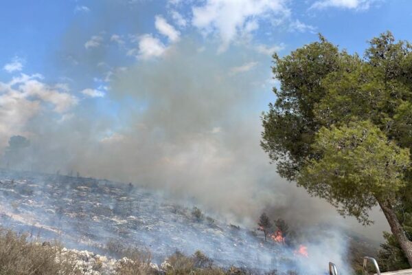 שריפת חורש ליד צורית שבגליל המערבי (צילום: דוברות כבאות והצלה לישראל)