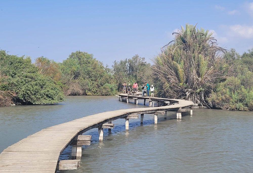 מטיילים בשמורת עין אפק (צילום ארכיון: תמר עבדת, רשות הטבע והגנים) מטיילים בשמורת עין אפק (צילום ארכיון: תמר עבדת, רשות הטבע והגנים)