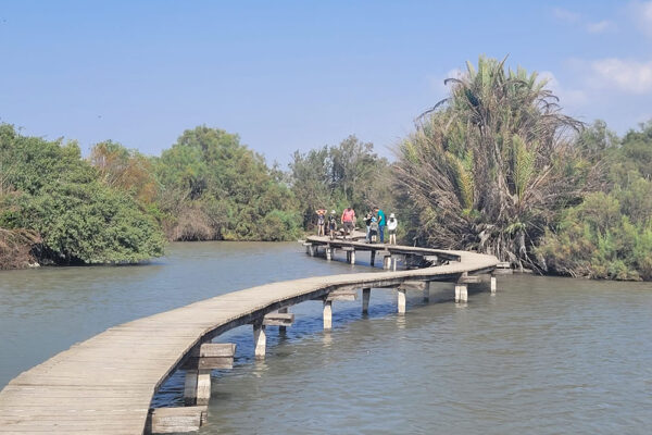 מטיילים בשמורת עין אפק (צילום ארכיון: תמר עבדת, רשות הטבע והגנים)