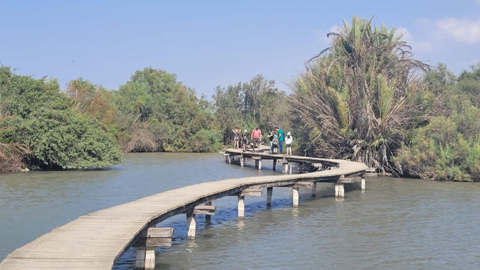מטיילים גם אחרי החגים: כ-70 אלף ביקרו היום בשמורות ובגנים הלאומיים