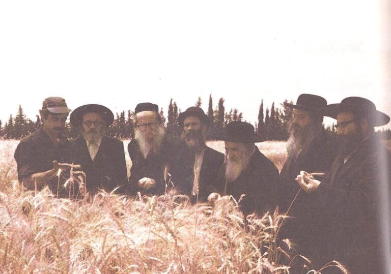 Praying in the kibbutz fields. &quot;They looked strange to the local farmers, who were in no hurry to hand over their land.&quot; (Photo: HaHalutz HaHaredi)