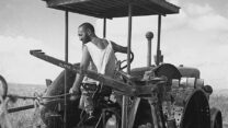 חבר קיבוץ חפץ חיים במחרשה (צילום: זולטן קלוגר/לעמ)