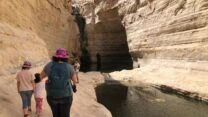 מטיילים בגן הלאומי עין עבדת (צילום: חגי דביר רשות הטבע והגנים)