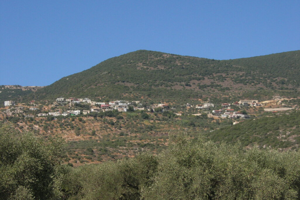עין אל אסד (צילום: אמנון שביט, wikimedia commons)